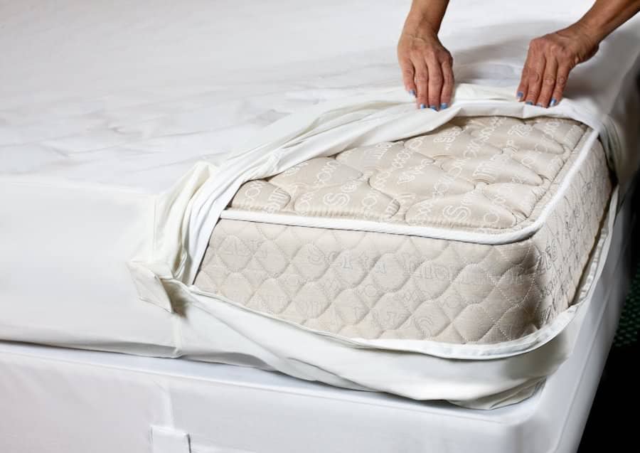 how to throw away a mattress with bed bugs