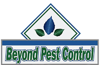 Pest Control NYC